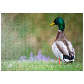 Darstellung des Puzzle Motivs Stockente auf einer Frühlingswiese mit Blumen - Puzzleteile: 200