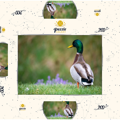 Darstellung des Puzzle Motivs Stockente auf einer Frühlingswiese mit Blumen Mallard Duck on Spring Meadow with Flowers 200 Puzzle Schachtel 3D Modell