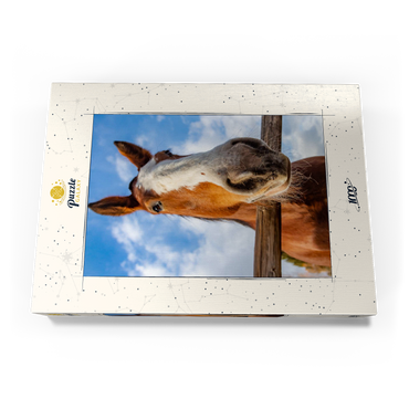 Darstellung des Puzzle Motivs Clydesdale Horse Close-Up with Blue Sky Backdrop 1000 Puzzle Schachtel Ansicht3