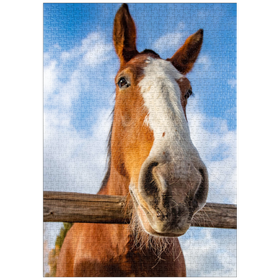 Darstellung des Puzzle-Motivs Nahaufnahme eines Clydesdale-Pferdes vor blauem Himmel – Puzzleteile: 1000