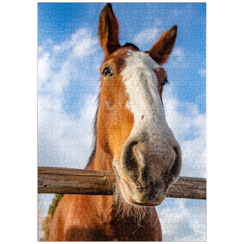 Darstellung des Puzzle Motivs Nahaufnahme eines Clydesdale-Pferdes vor blauem Himmel puzzleplate Clydesdale Horse Close-Up with Blue Sky Backdrop 1000 Puzzle