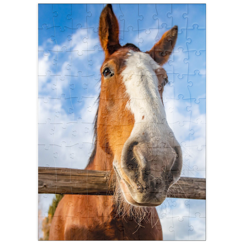 Darstellung des Puzzle Motivs Nahaufnahme eines Clydesdale-Pferdes vor blauem Himmel puzzleplate Clydesdale Horse Close-Up with Blue Sky Backdrop 100 Puzzle