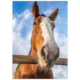 Darstellung des Puzzle Motivs Nahaufnahme eines Clydesdale-Pferdes vor blauem Himmel - Puzzleteile: 100