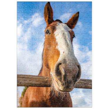 Darstellung des Puzzle Motivs puzzleplate Clydesdale Horse Close-Up with Blue Sky Backdrop 200 Puzzle