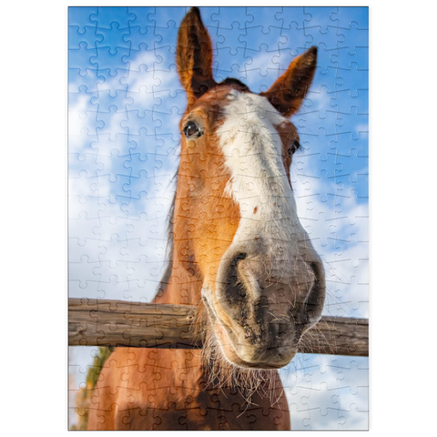 Darstellung des Puzzle Motivs Nahaufnahme eines Clydesdale-Pferdes vor blauem Himmel puzzleplate Clydesdale Horse Close-Up with Blue Sky Backdrop 200 Puzzle