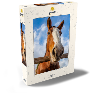 Darstellung des Puzzle Motivs Clydesdale Horse Close-Up with Blue Sky Backdrop 500 Puzzle Schachtel Ansicht2