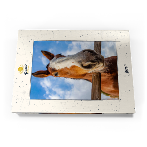 Darstellung des Puzzle Motivs Nahaufnahme eines Clydesdale-Pferdes vor blauem Himmel Clydesdale Horse Close-Up with Blue Sky Backdrop 500 Puzzle Schachtel Ansicht3