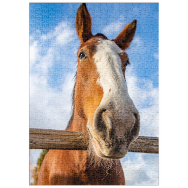 Darstellung des Puzzle Motivs puzzleplate Clydesdale Horse Close-Up with Blue Sky Backdrop 500 Puzzle