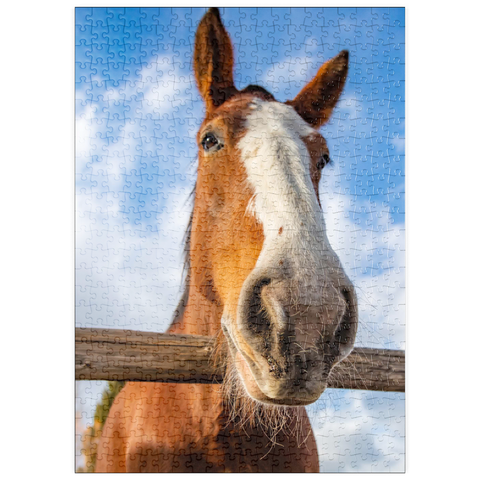 Darstellung des Puzzle Motivs Nahaufnahme eines Clydesdale-Pferdes vor blauem Himmel puzzleplate Clydesdale Horse Close-Up with Blue Sky Backdrop 500 Puzzle