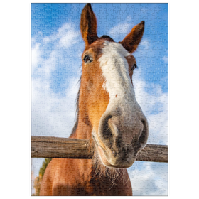Darstellung des Puzzle Motivs Nahaufnahme eines Clydesdale-Pferdes vor blauem Himmel - Puzzleteile: 500