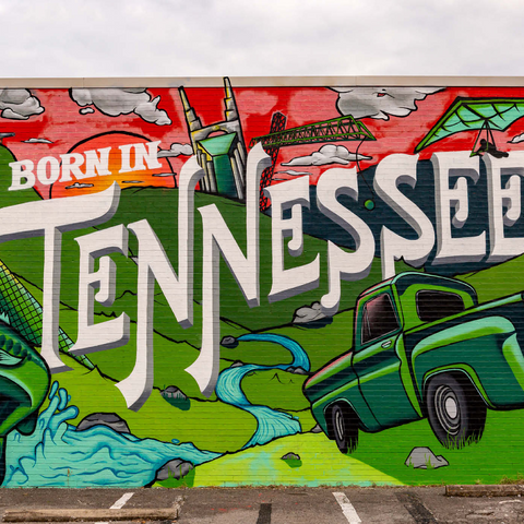 Darstellung des Puzzle Motivs Geboren in Tennessee Street Art Wandbild Born in Tennessee Street Art Wall Mural 1000 Puzzle 3D Modell