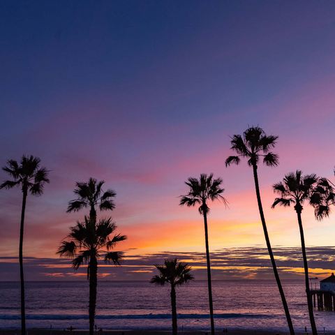 Darstellung des Puzzle Motivs Manhattan Beach Pier bei Sonnenuntergang mit Palmen-Silhouetten Manhattan Beach Pier at Sunset with Palm Silhouettes 1000 Puzzle 3D Modell