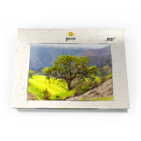 Darstellung des Puzzle Motivs Kalifornische Eiche in den grünen Hügeln im Frühling California Oak Tree in Spring Green Hills 1000 Puzzle Schachtel Ansicht3