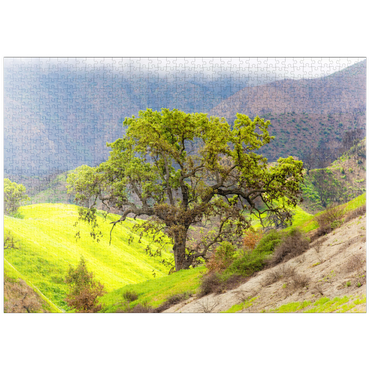 Darstellung des Puzzle Motivs puzzleplate California Oak Tree in Spring Green Hills 1000 Puzzle