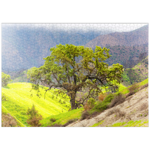 Darstellung des Puzzle Motivs Kalifornische Eiche in den grünen Hügeln im Frühling puzzleplate California Oak Tree in Spring Green Hills 1000 Puzzle