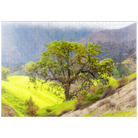 Darstellung des Puzzle Motivs Kalifornische Eiche in den grünen Hügeln im Frühling - Puzzleteile: 1000