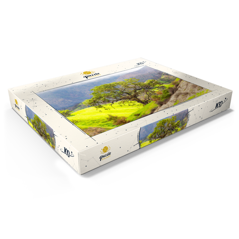 Darstellung des Puzzle Motivs Kalifornische Eiche in den grünen Hügeln im Frühling California Oak Tree in Spring Green Hills 100 Puzzle Schachtel Ansicht1