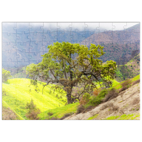 Darstellung des Puzzle Motivs Kalifornische Eiche in den grünen Hügeln im Frühling puzzleplate California Oak Tree in Spring Green Hills 100 Puzzle