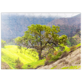 Darstellung des Puzzle Motivs Kalifornische Eiche in den grünen Hügeln im Frühling - Puzzleteile: 100