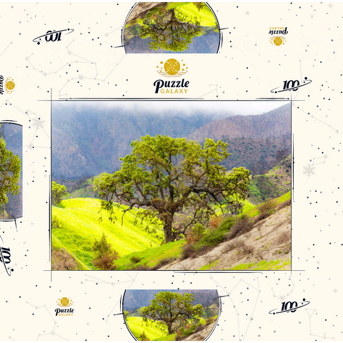 Darstellung des Puzzle Motivs Kalifornische Eiche in den grünen Hügeln im Frühling California Oak Tree in Spring Green Hills 100 Puzzle Schachtel 3D Modell