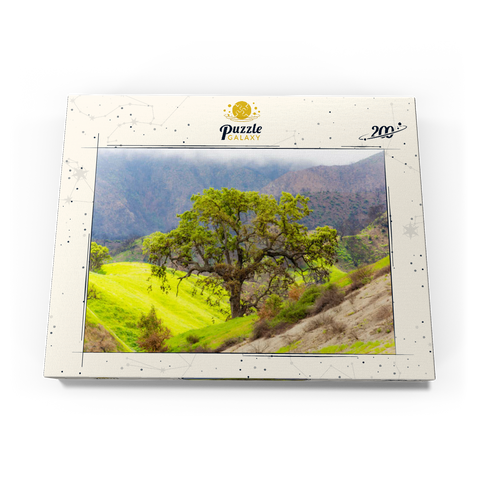 Darstellung des Puzzle Motivs Kalifornische Eiche in den grünen Hügeln im Frühling California Oak Tree in Spring Green Hills 200 Puzzle Schachtel Ansicht3