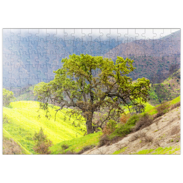 Darstellung des Puzzle Motivs puzzleplate California Oak Tree in Spring Green Hills 200 Puzzle