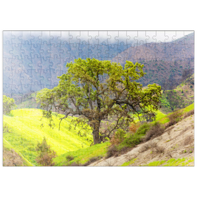 Darstellung des Puzzle Motivs Kalifornische Eiche in den grünen Hügeln im Frühling - Puzzleteile: 200
