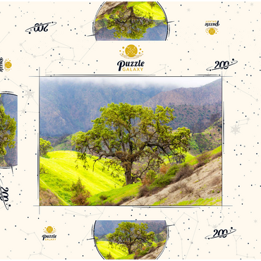 Darstellung des Puzzle Motivs California Oak Tree in Spring Green Hills 200 Puzzle Schachtel 3D Modell