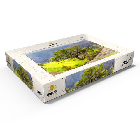 Darstellung des Puzzle Motivs Kalifornische Eiche in den grünen Hügeln im Frühling California Oak Tree in Spring Green Hills 500 Puzzle Schachtel Ansicht1