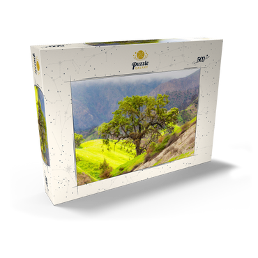 Darstellung des Puzzle Motivs California Oak Tree in Spring Green Hills 500 Puzzle Schachtel Ansicht2