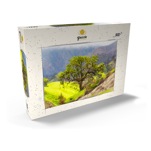 Darstellung des Puzzle Motivs Kalifornische Eiche in den grünen Hügeln im Frühling California Oak Tree in Spring Green Hills 500 Puzzle Schachtel Ansicht2