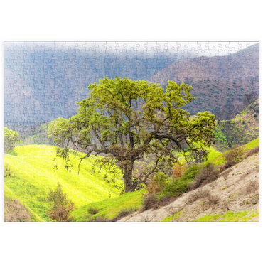 Darstellung des Puzzle Motivs puzzleplate California Oak Tree in Spring Green Hills 500 Puzzle