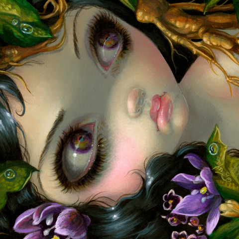 Darstellung des Puzzle Motivs Giftige Schönheiten 14 - Jasmine Becket-Griffith Poisonous Beauties 14 - Jasmine Becket-Griffith 1000 Puzzle 3D Modell