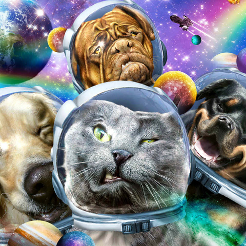 Darstellung des Puzzle Motivs Astronaut Pet Selfie, Space Cat - Random Galaxy Astronaut Pet Selfie, Space Cat - Random Galaxy 500 Puzzle 3D Modell