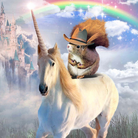 Darstellung des Puzzle Motivs Squirrel Riding Unicorn - Random Galaxy Squirrel Riding Unicorn - Random Galaxy 500 Puzzle 3D Modell