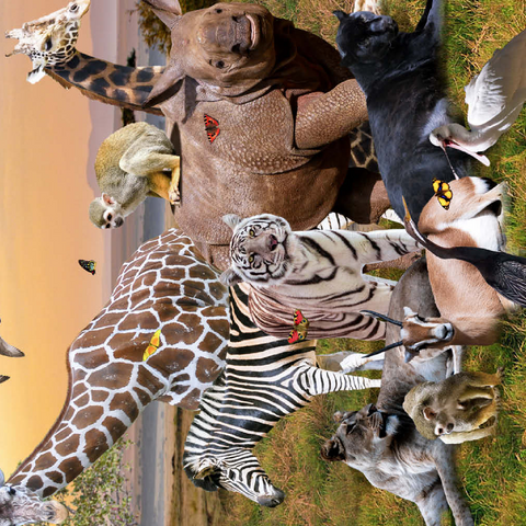 Darstellung des Puzzle Motivs African Animals Safari - Random Galaxy African Animals Safari - Random Galaxy 500 Puzzle 3D Modell