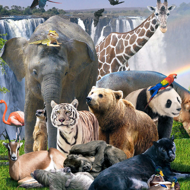 Darstellung des Puzzle Motivs African Animals Waterfall - Random Galaxy 500 Puzzle 3D Modell