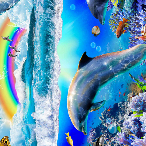 Darstellung des Puzzle Motivs Rainbow Dolphin, Dolphins Beach - Random Galaxy Rainbow Dolphin, Dolphins Beach - Random Galaxy 500 Puzzle 3D Modell