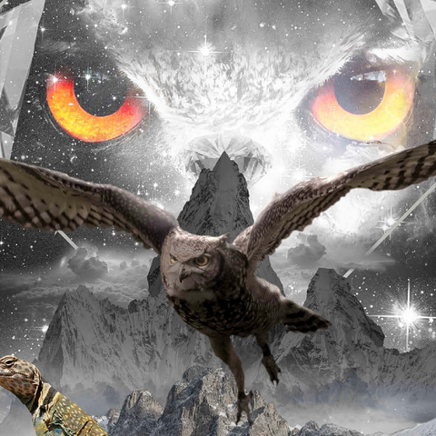 Darstellung des Puzzle Motivs Owl Eyes, Mountain Owls - Random Galaxy Owl Eyes, Mountain Owls - Random Galaxy 500 Puzzle 3D Modell
