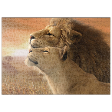 Darstellung des Puzzle Motivs puzzleplate A Tender Moment Wildlife - Laurie Prindle 500 Puzzle