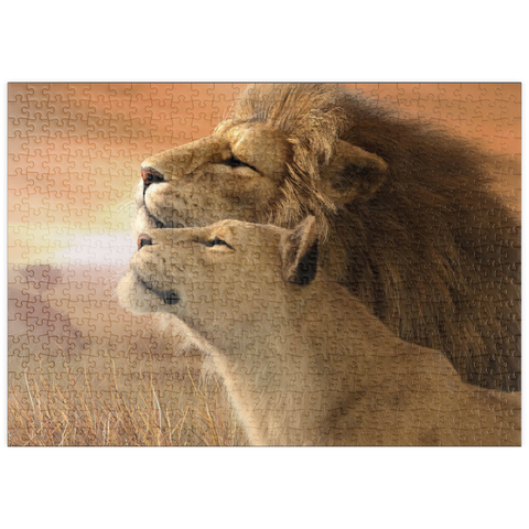 Darstellung des Puzzle Motivs A Tender Moment Wildlife - Laurie Prindle puzzleplate A Tender Moment Wildlife - Laurie Prindle 500 Puzzle