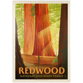 Darstellung des Puzzle Motivs Redwood National And State Parks: Sun Beams - Puzzleteile: 1000