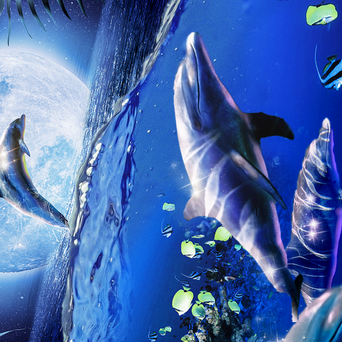 Darstellung des Puzzle Motivs Moonlight Dolphin Gliding Through the Night Ocean - Random Galaxy Moonlight Dolphin Gliding Through the Night Ocean - Random Galaxy 500 Puzzle 3D Modell
