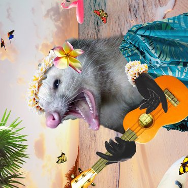 Darstellung des Puzzle Motivs Aloha Opossum Enjoying Hawaiian Vibes - Random Galaxy 1000 Puzzle 3D Modell