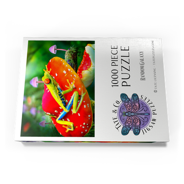 Darstellung des Puzzle Motivs Red-Eyed Tree Frog in a Magical Mushroom Forest - Random Galaxy 1000 Puzzle Schachtel Ansicht3