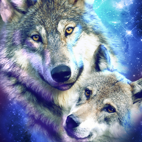 Darstellung des Puzzle Motivs Cosmic Wolf Family Under the Galactic Moon - Random Galaxy Cosmic Wolf Family Under the Galactic Moon - Random Galaxy 500 Puzzle 3D Modell