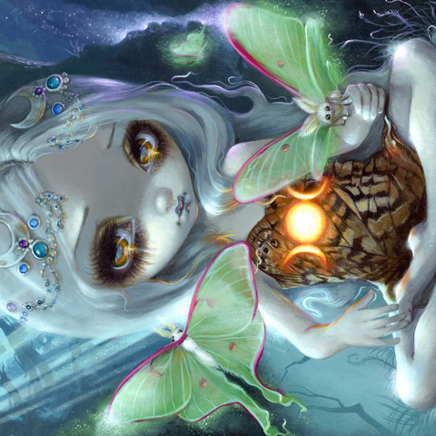 Darstellung des Puzzle Motivs Luna Moth - Jasmine Becket-Griffith Luna Moth - Jasmine Becket-Griffith 1000 Puzzle 3D Modell