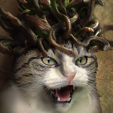 Darstellung des Puzzle Motivs Meowdusa Vintage Medusa Cat - Random Galaxy 500 Puzzle 3D Modell