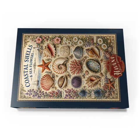 Darstellung des Puzzle Motivs Coastal Shells and Sea Flowers Vintage Art Poster Coastal Shells and Sea Flowers Vintage Art Poster 500 Puzzle Schachtel Ansicht3
