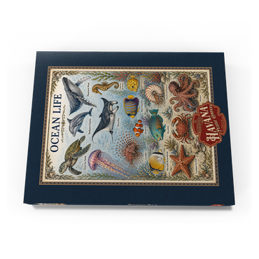 Darstellung des Puzzle Motivs Ocean Life Vintage Art Poster 100 Puzzle Schachtel Ansicht3
